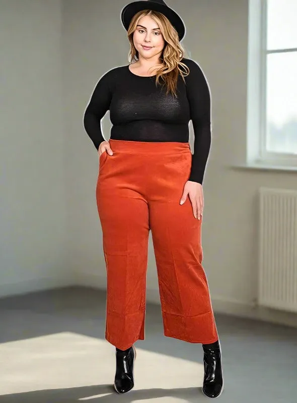 Plus Size Velvet Capri Pants